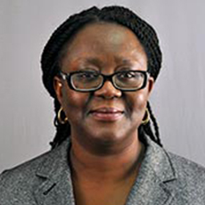 Yvonne Mensa-Wilmot, PhD, MPH
