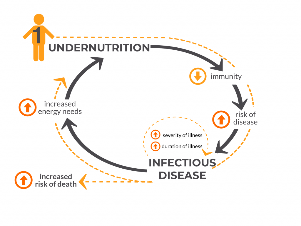 Demostrating the vicious cycle of undernutrition on human health