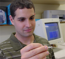 Technician Mark Carroll examines a cicada in the lab.