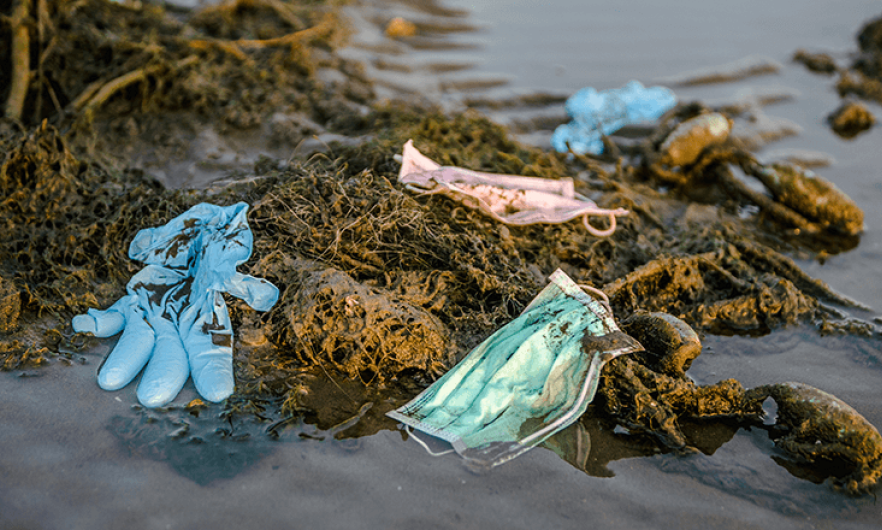 Disposed gloves and masks polluting a small body of water