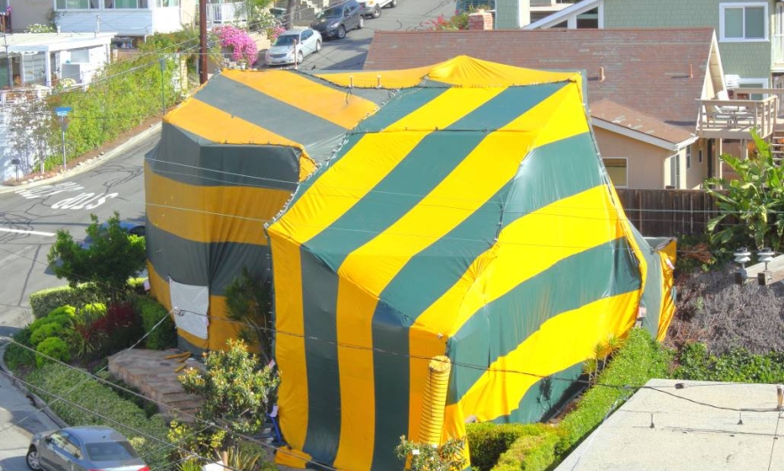 building under a green and yellow fumigation tent