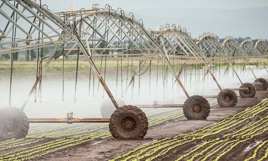 irrigation, crops