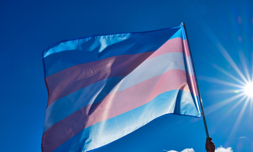 The transgender flag 