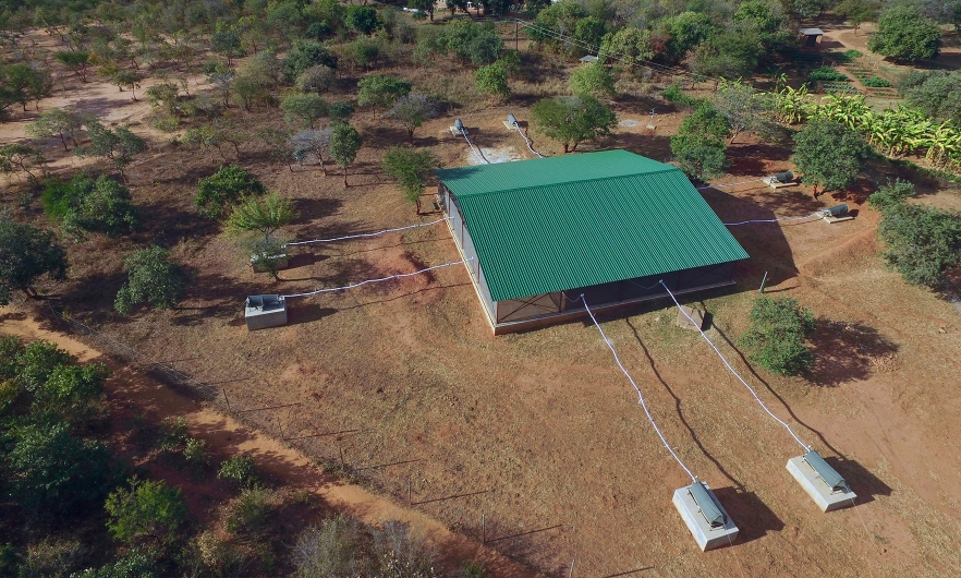 An overhead view of the research facility in Zambia used by Conor McMeniman and his team to study mosquitoes attraction to human scent.