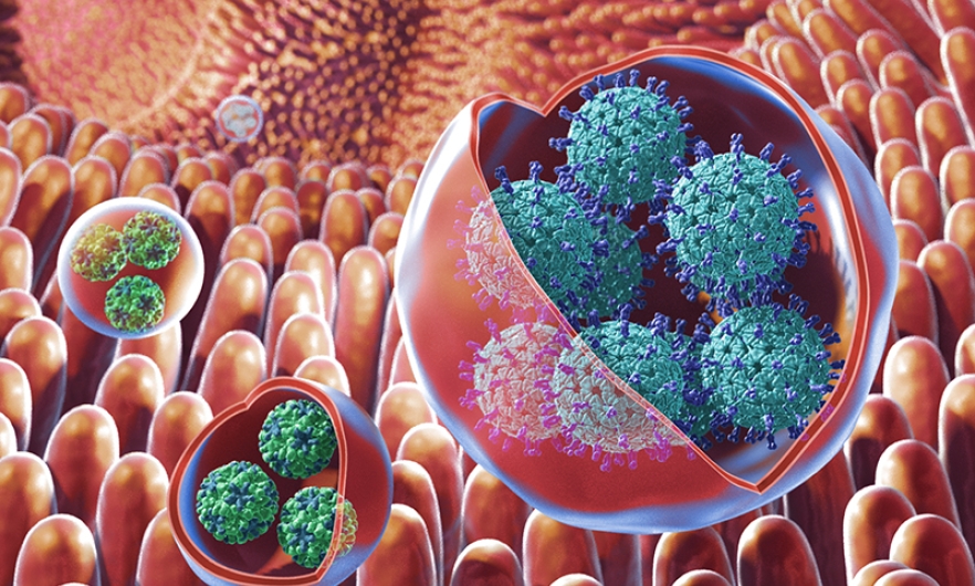 illustration of virus clusters