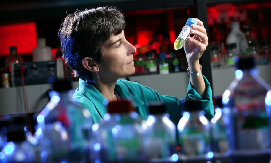 Cecile Pickart in her lab examining a conical tube with liquid