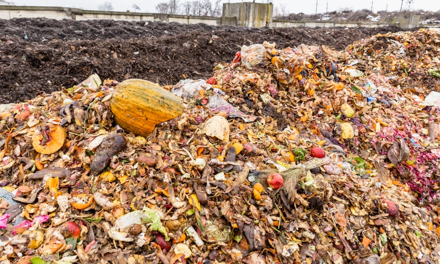 Landfill with visible vegetables