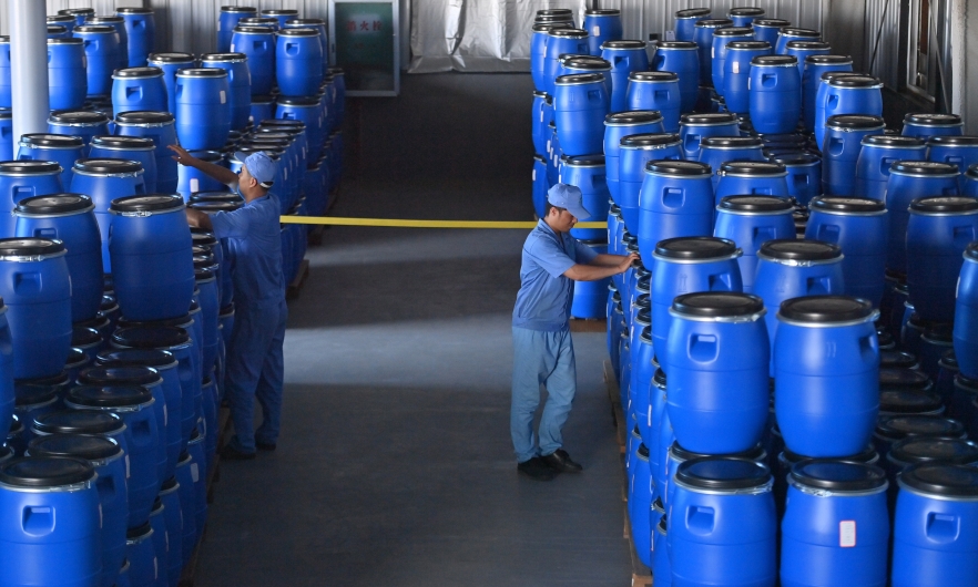 Employees transfer barrels of artemisinin at a pharmaceutical company in southern China on Aug. 27, 2024.