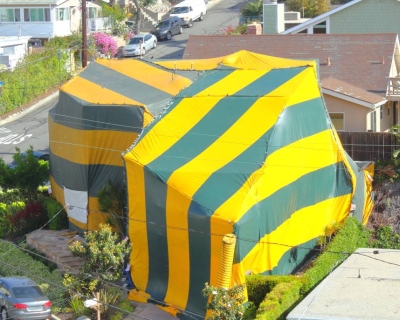 building under a green and yellow fumigation tent