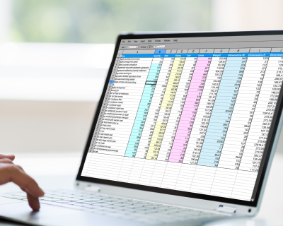 Person working in a spreadsheet on a laptop