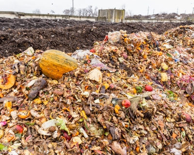 Landfill with visible vegetables