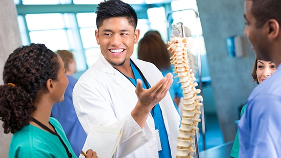 medical professionals looking at a spine