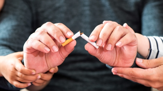 An up close view of someone's hands breaking a cigarette, demonstrating that they are no longer partaking in the behavior of tobacco smoking.