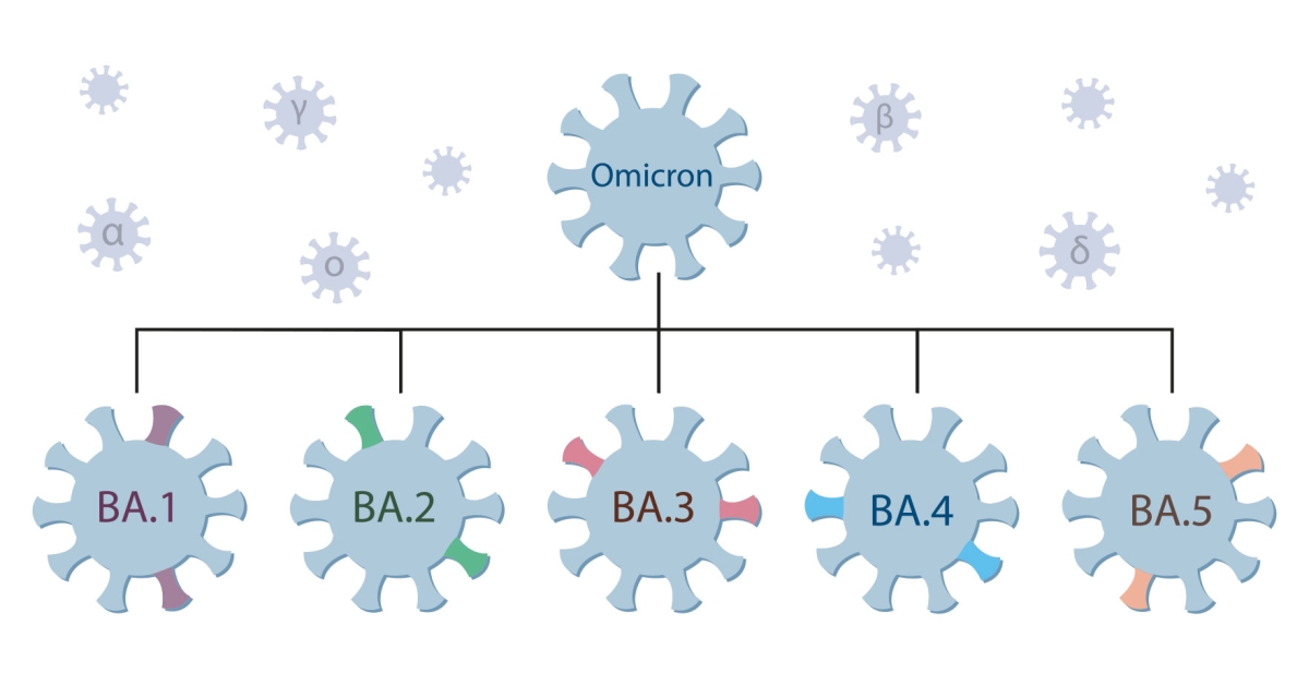 An Update On Omicron Subvariants | Johns Hopkins | Bloomberg School Of ...