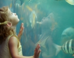 Child at the aquarium