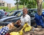 Extreme heat means few customers and little rest for Habib Khan, 65, a banana vendor outside Delhi. Swagata Yadavar.