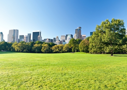 green lawn in front of city skyline and trees