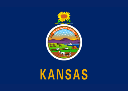 Kansas state flag