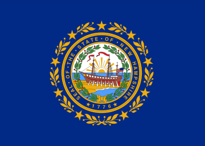 New Hampshire state flag